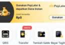 Saya Dikecewakan oleh Paylater Allo Bank