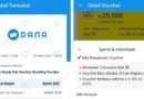 Voucher yang Dibeli di Aplikasi DANA Tidak Bisa Digunakan untuk Transaksi