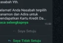 Penawaran Kartu Kredit Danamon X Adira yang Ribet