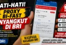 Proxy BI-FAST Email dan Nomor HP Nyangkut di BRI untuk Selamanya