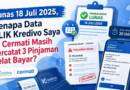 Sudah Bayar Tagihan Bukalapak PayLater/Kredivo, Namun Masih Muncul Status Pinjaman Terlambat Bayar