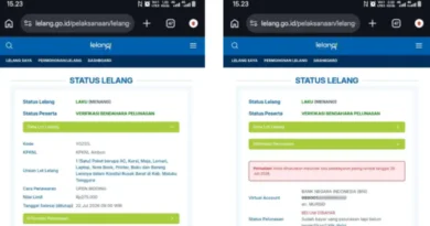 Menyoal Objek Lelang di BPS Maluku Tenggara