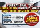 Verifikasi Email Toko Tokopedia/TikTok Shop Tak Kunjung Selesai, Saldo Jualan Saya Tidak Bisa Ditarik