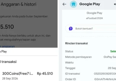 Kinerja CS GoPay Buruk dan Kaku: Meminta Bukti Promo yang Otomatis Dihapus Sistem Google Play 