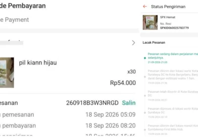 Paket SPX Hemat Senilai Rp1,3 Juta Mandek di Perjalanan Tanpa Update Resi di Shopee