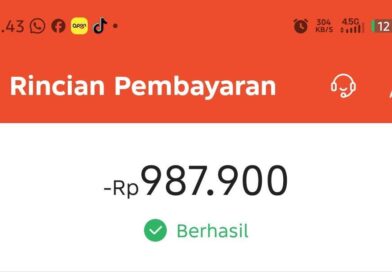 Saldo SeaBank Terpotong Rp987.900 oleh Sistem MultiPay ShopeePay dan Google Play tanpa konfirmasi atau PIN untuk Autorenewal Langganan Rapid VPN